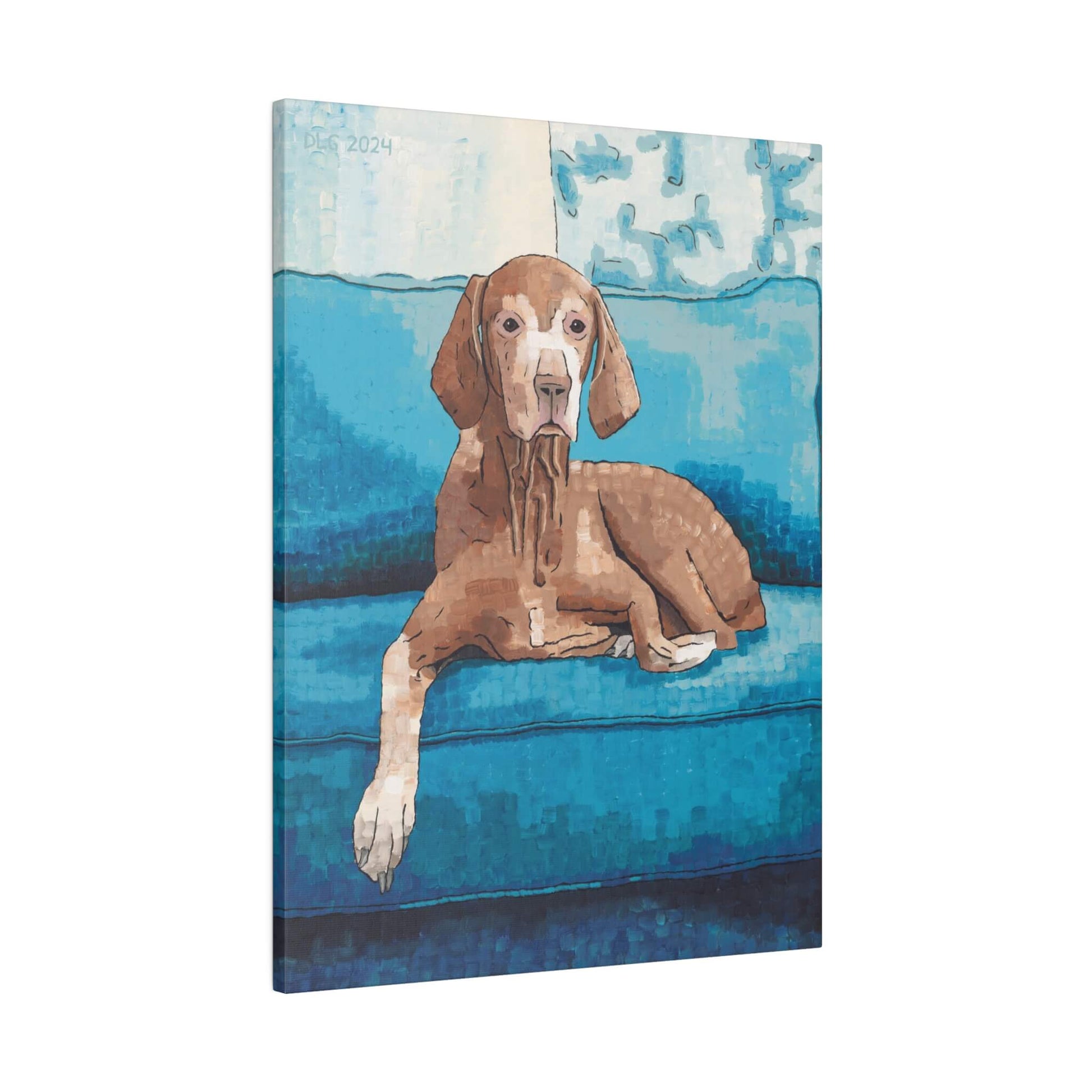 A vizsla dog relaxing on a blue couch with a white wall behind it.